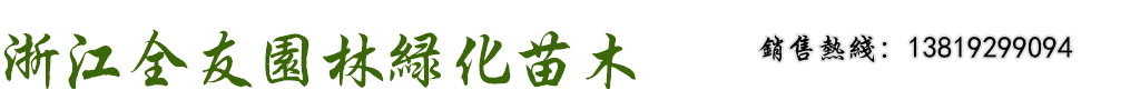 櫸樹